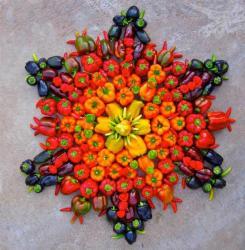 mandala-legumes-4.jpg